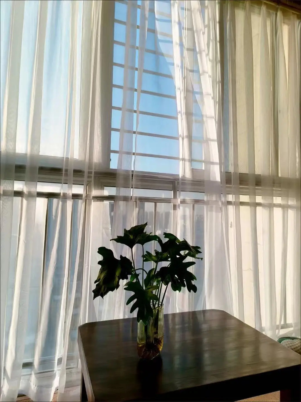 Voilage blanc transparent grandes dimensions, vue 18