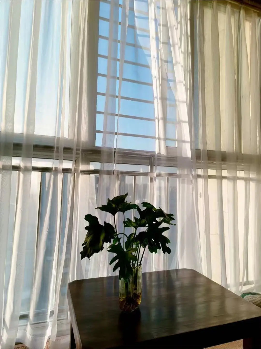Voilage blanc transparent grandes dimensions, vue 18