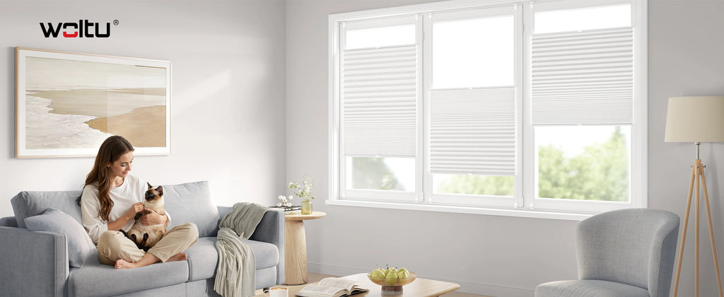 Store plissé Klemmfix translucide sans perçage