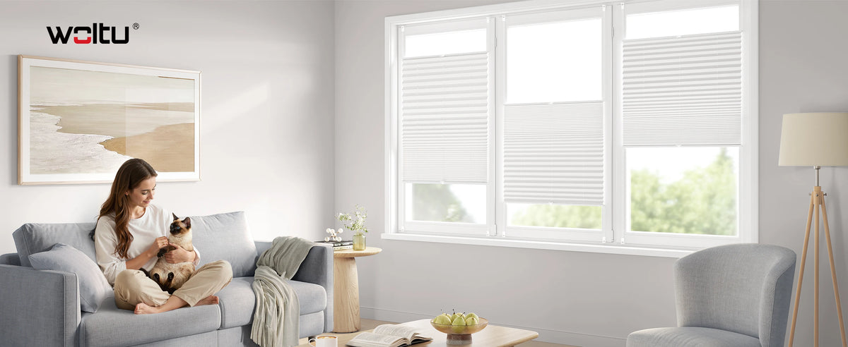 Store plissé Klemmfix translucide sans perçage