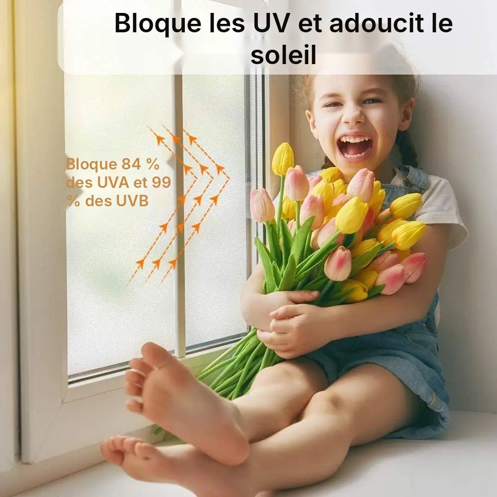 Film opaque mat anti-regard pour fenêtre, vue 5